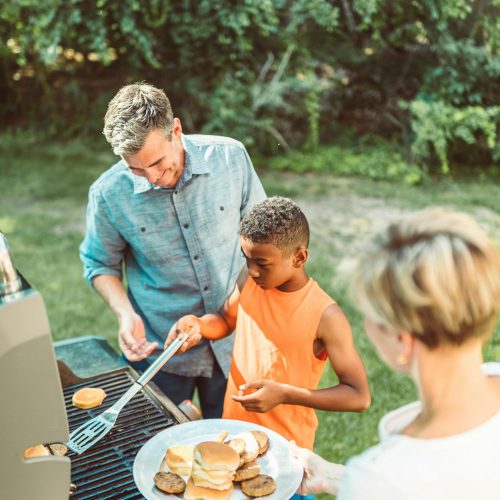 SummerBack Mosquito Control